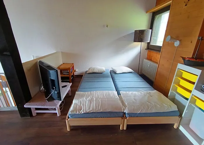 20 2 Beautiful For A Family Gryon