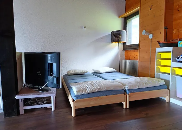 20 2 Beautiful For A Family Apartment Gryon